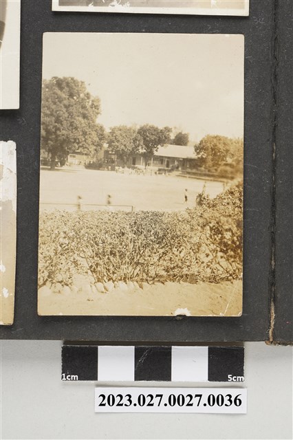 徐家相本相片36 (共1張)