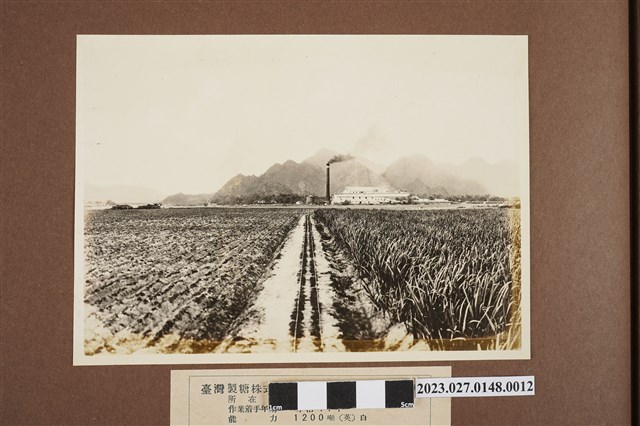 臺灣製糖株式會社旗尾製糖所 (共1張)