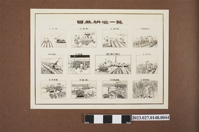 甘蔗耕作一覽圖 (共1張)