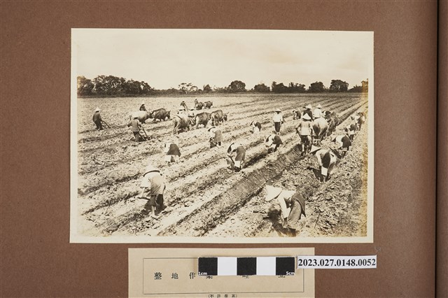 整地作業築畦 (共1張)