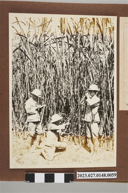 收穫準備作業熟度檢定 (共1張)