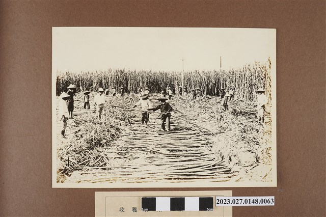 收穫作業調製 (共1張)