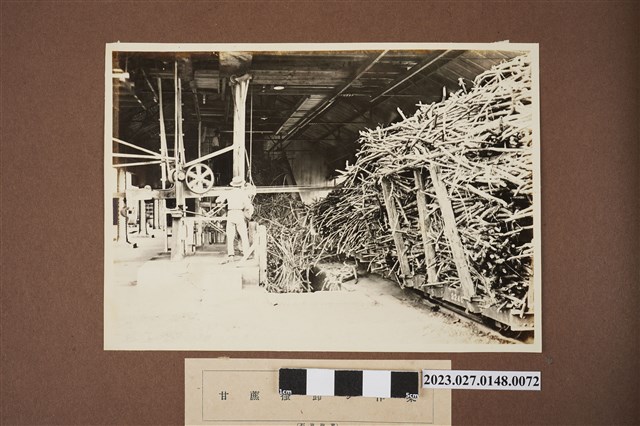 甘蔗卸貨作業 (共1張)