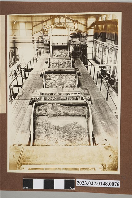 壓榨機運作一景 (共1張)