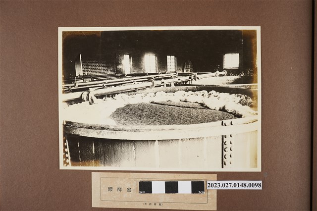 醱酵室醪醱酵狀態（2） (共1張)