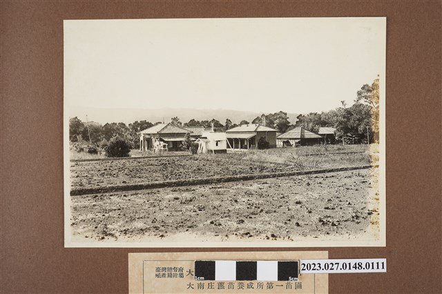 臺灣總督府殖產局附屬大南庄蔗苗養成所與第一苗圃 (共1張)
