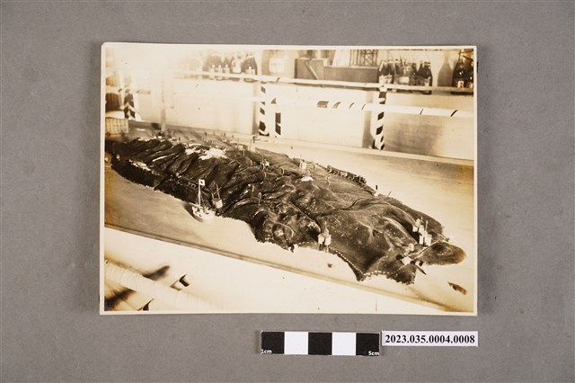 臺灣總督府專賣局花蓮港支局長笹川貫治相簿照片8 (共2張)