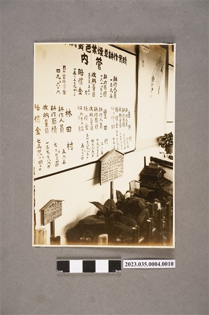 臺灣總督府專賣局花蓮港支局長笹川貫治相簿照片10 (共2張)