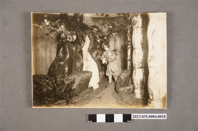 臺灣總督府專賣局花蓮港支局長笹川貫治相簿照片18 (共2張)