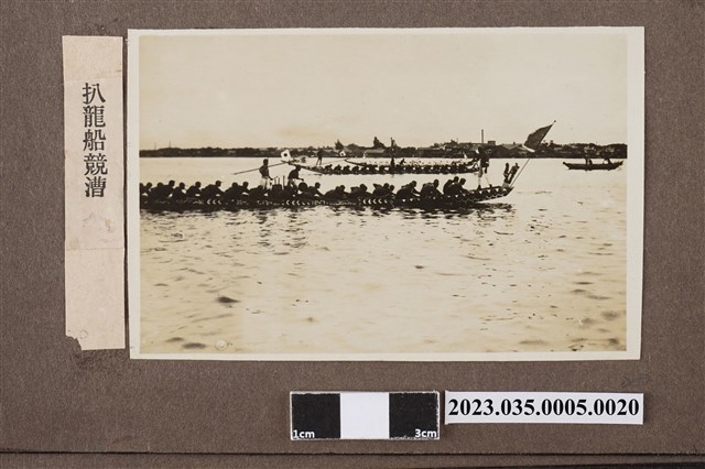 划龍舟競賽一景 (共1張)