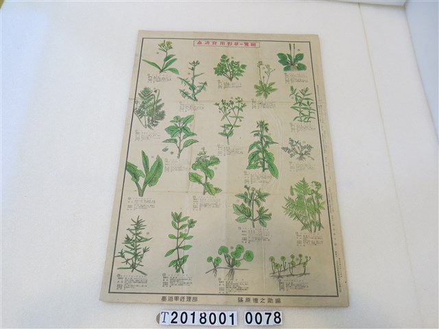 臺灣軍經理部篠原德之助編臺灣食用野草一覽圖 (共1張)