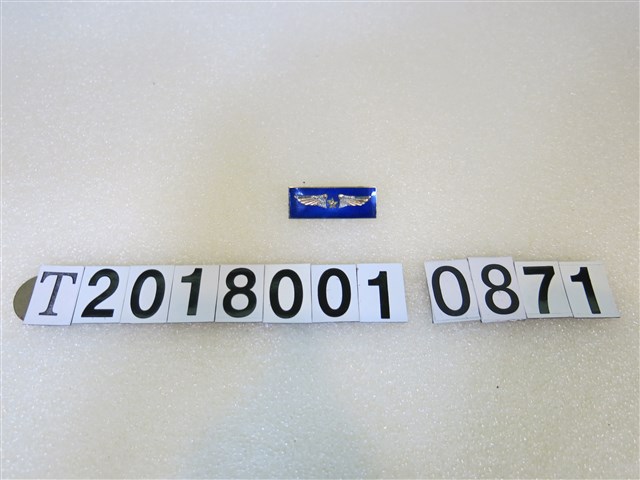 空軍總司令部頒發徽章 (共2張)