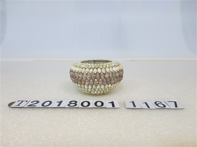 貝殼拼貼容器 (共1張)