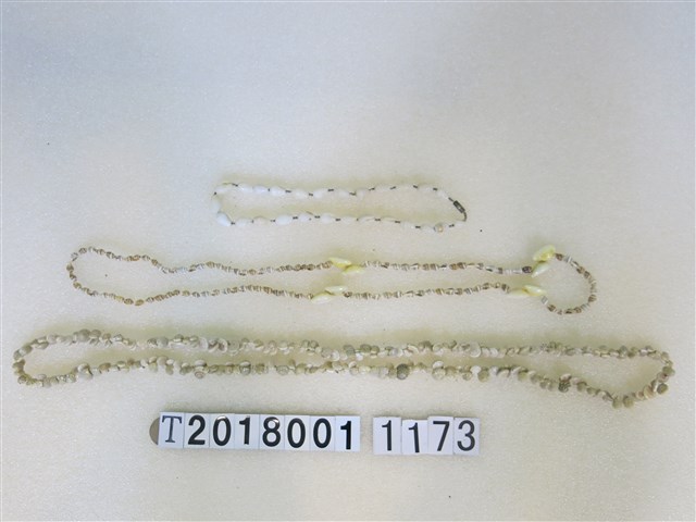 貝殼串珠項鍊 (共1張)