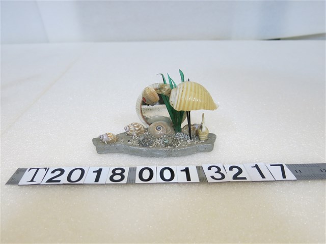 臺灣造型貝殼鏡子 (共1張)