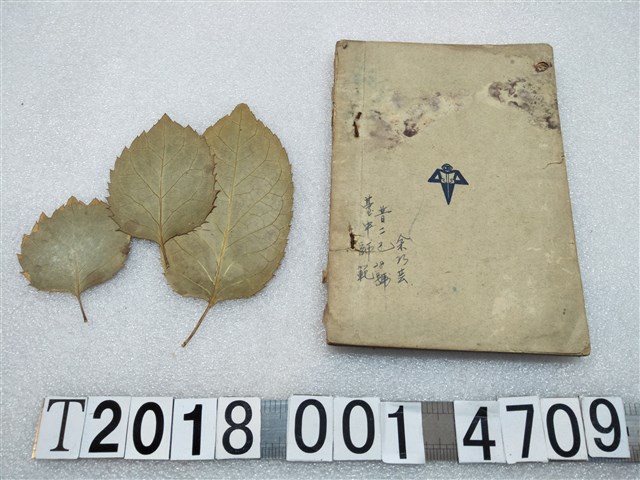 秦孝儀編《三民主義基本教材》 (共2張)