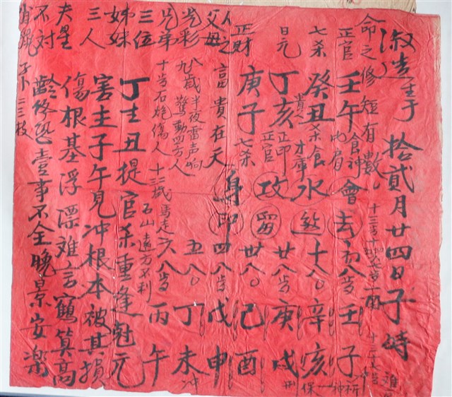 淑造生於拾貳月二十四日子時算命紅帖 (共1張)