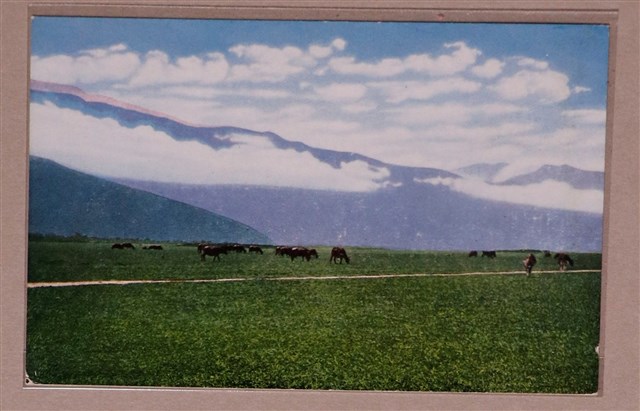 屏東畜牛風景明信片 (共2張)