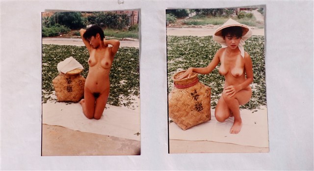 裸女臺灣茶葉照片組 (共1張)