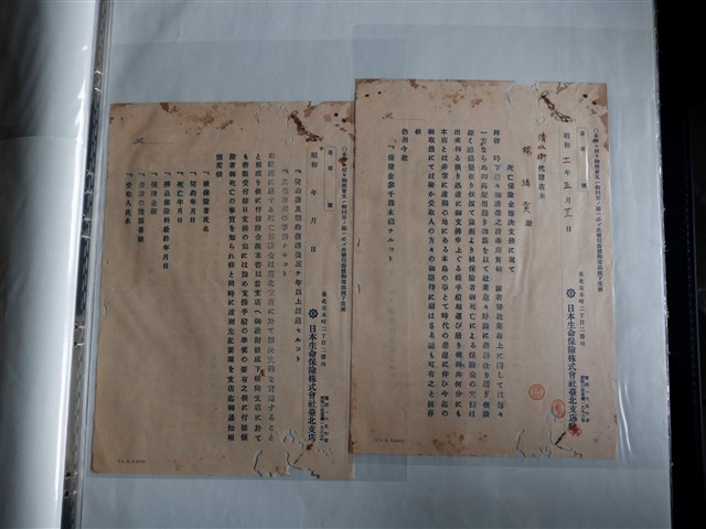 楊緒貢保日本生命保險株式會社臺北支店死亡保險單 (共1張)