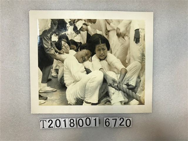 西松國中女學生拔河照片 (共1張)