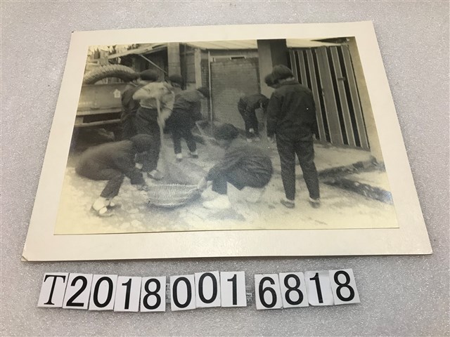 介壽清理衛生相關照片 (共1張)