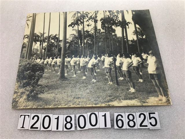 景美女高體育活動照片 (共1張)