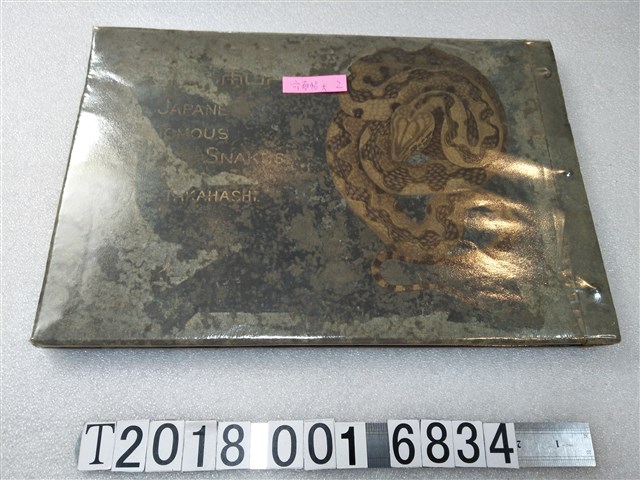臺灣總督府醫學專門學校高橋精一著《大日本毒蛇圖集》 (共2張)