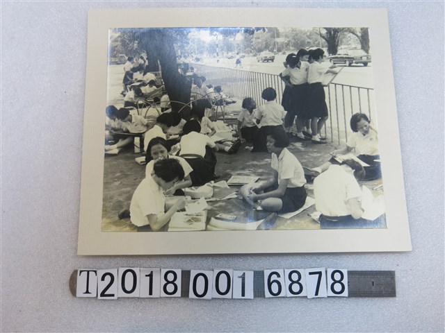 美術寫生照片 (共1張)