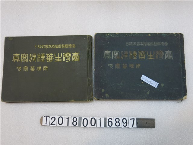 成田寫真製版所發行《臺灣生蕃種族寫真》 (共1張)