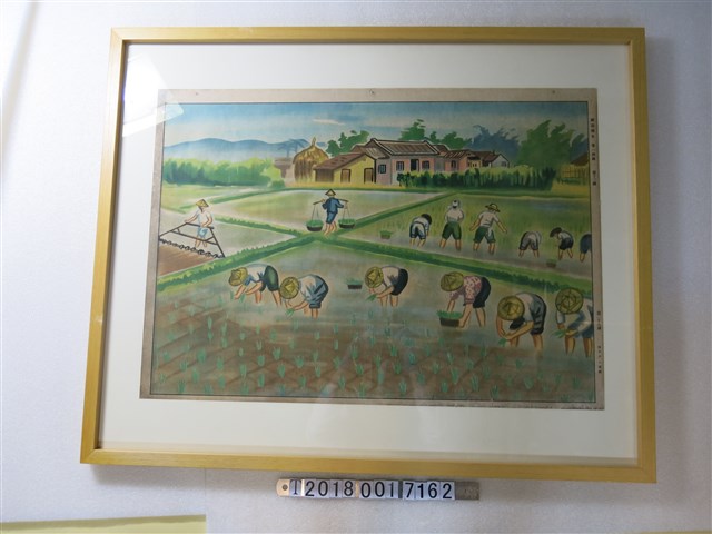 水稻種植國語讀本掛圖 (共1張)