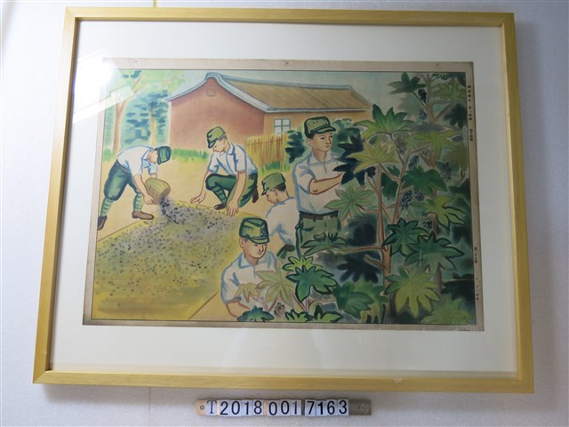 蓖麻國語讀本掛圖 (共1張)