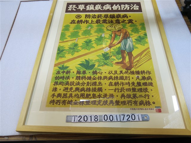 中國農村復興聯合委員會編印菸草鑲嵌病防治海報 (共1張)