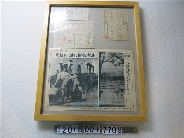 日治時期增產米穀相關資料 (共1張)
