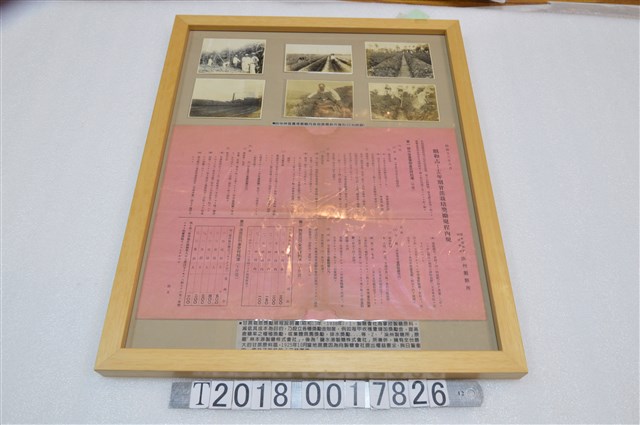 甘蔗栽培獎勵規程說明書與臺中州官員視察蔗園耕作情形照片 (共1張)