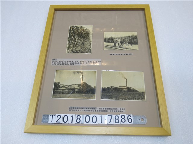 臺灣製糖株式會社東港製糖所與優良示範蔗園與糖廠火車照片 (共1張)