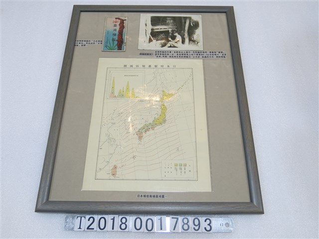 日本樟樹蕃殖區域圖與日本樟腦株式會社出品臺灣樟腦商標與樟腦製作過程照片 (共1張)