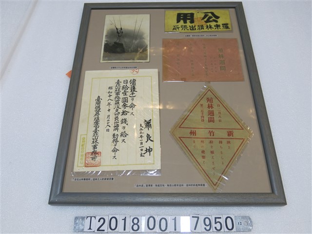 造林週宣傳單與林務工作相關資料 (共1張)