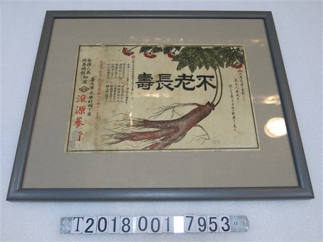 滾源蔘行不老長壽人參廣告海報 (共1張)