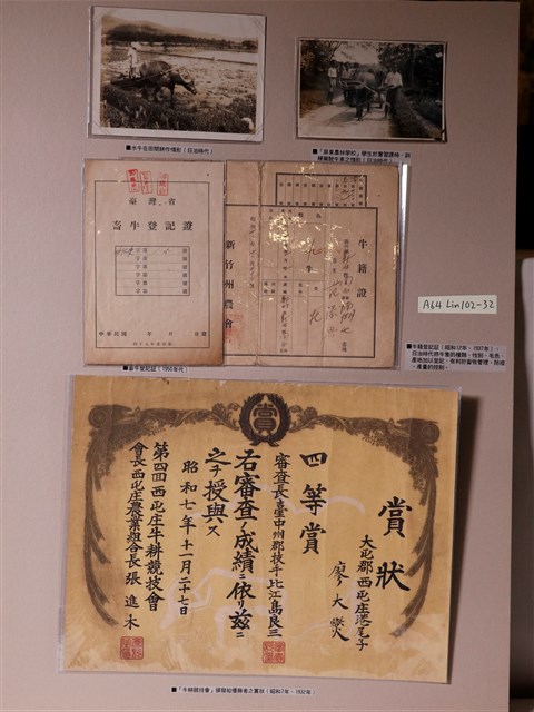 日治畜牛登記證與牛籍登記證及牛耕競技會優勝獎狀 (共1張)