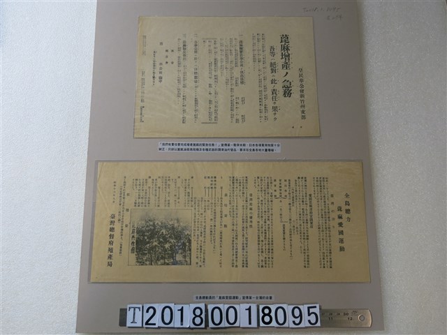 臺灣總督府殖產局篦麻愛國運動宣傳單與皇民奉公會新竹州支部篦麻增產宣傳單 (共1張)