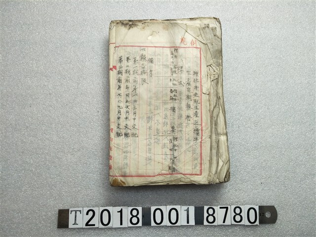 種牡牛交配生產之犢牛生產定期報告 (共1張)