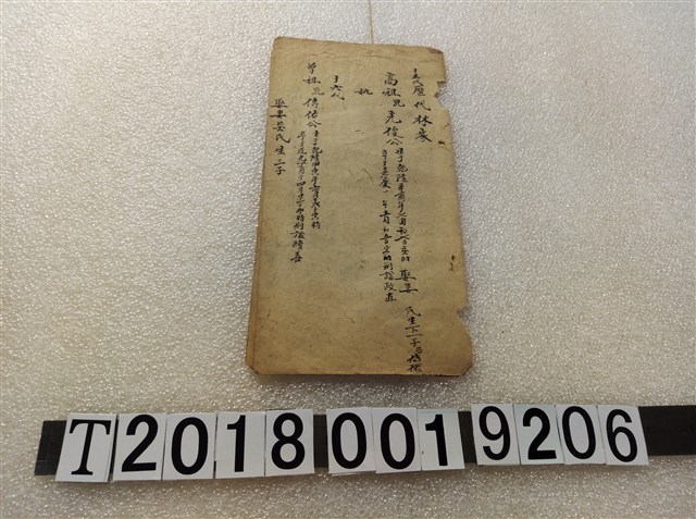 林氏家族部分族譜 (共1張)