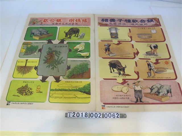 中國農村復興聯合委員會編印銀合歡宣傳海報 (共1張)