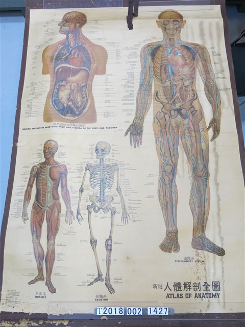 大眾文化社出版《新版人體解剖全圖》 (共1張)