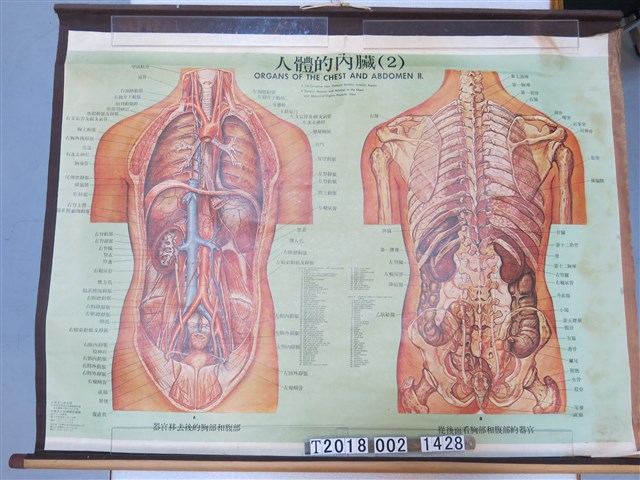 大眾文化社出版《人體的內臟（2）》圖 (共1張)