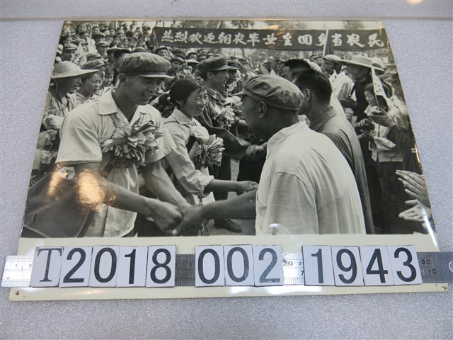 遼寧朝陽農學院畢業生回鄉當農民照片 (共1張)