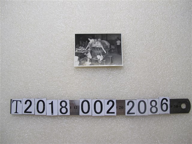 祭祀豬隻照片 (共1張)