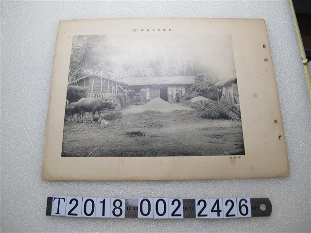 「本島人的農家」圖片介紹 (共1張)