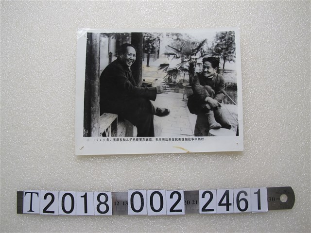 1949年毛澤東與其子毛岸英於北京拍攝合照 (共1張)